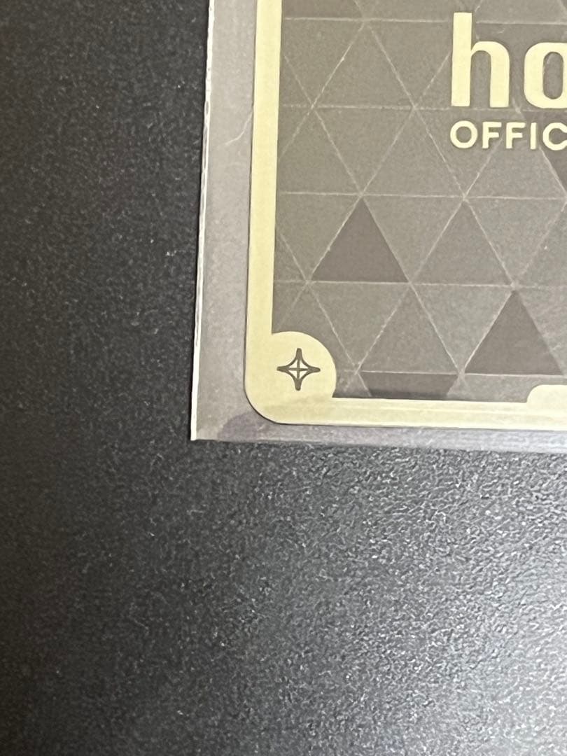 ホロカ　百鬼あやめ HR