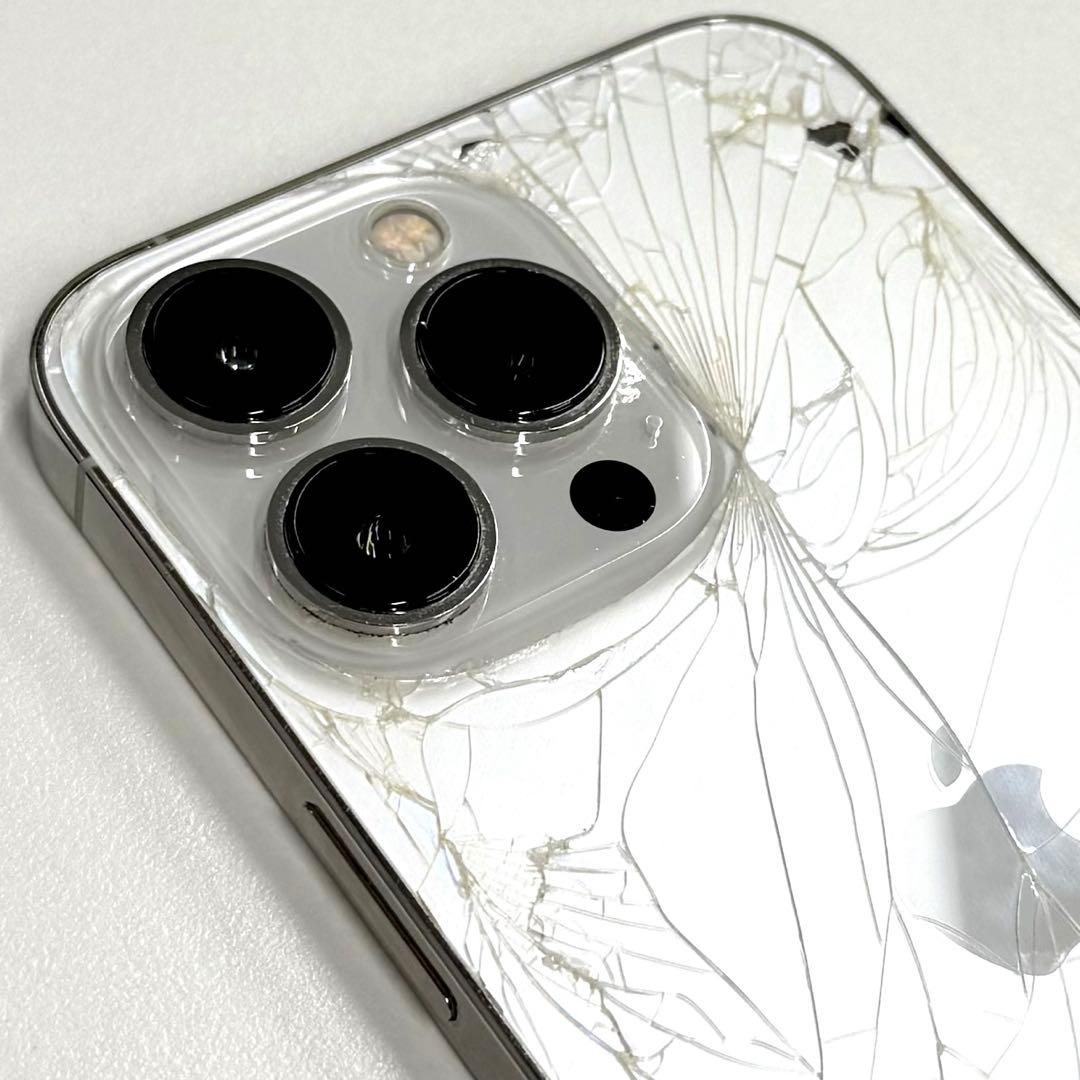 海外仕様無音カメラ　iPhone 13 Pro 256GB シルバー