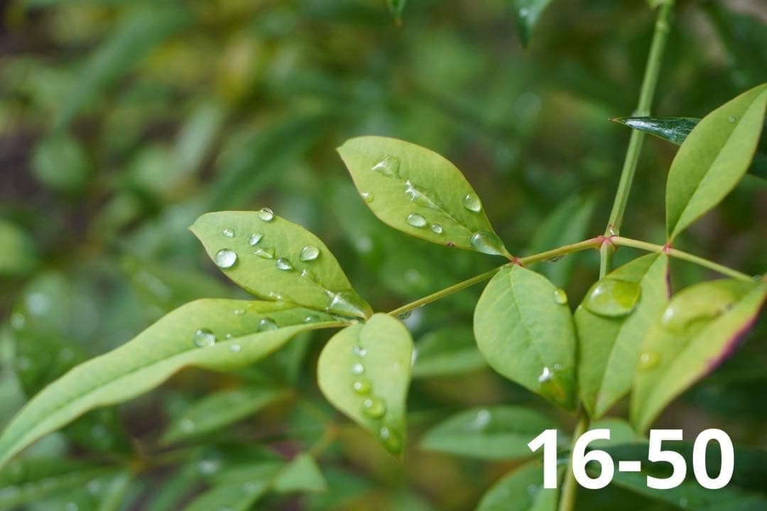 【美品＆動作良好】SONY ZV-E10 ダブルレンズセット 付属品多数 初心者