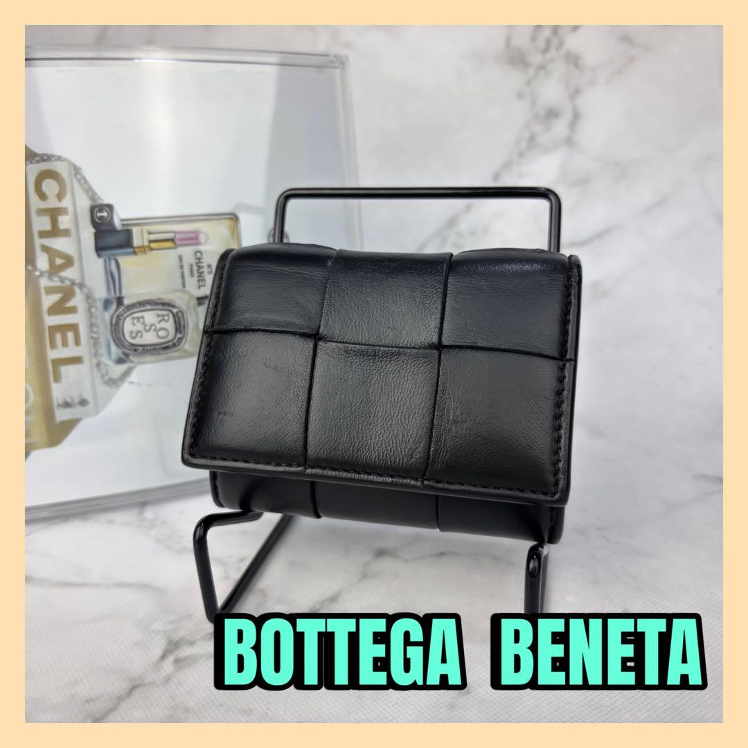 Bottega Veneta ボッテガヴェネタ　ガード　ケース　ジップ