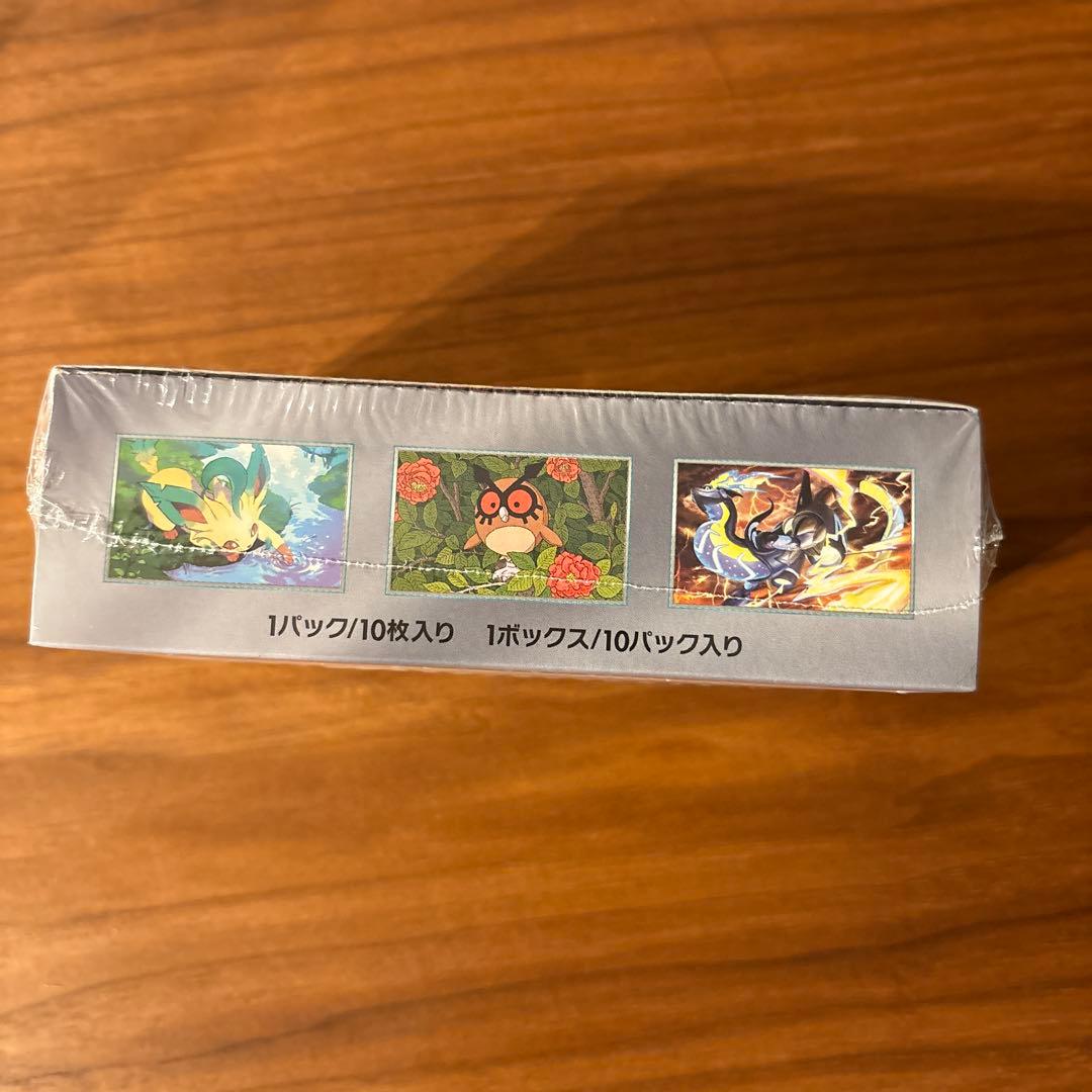 ポケモンカードゲーム　テラスタルフェスex