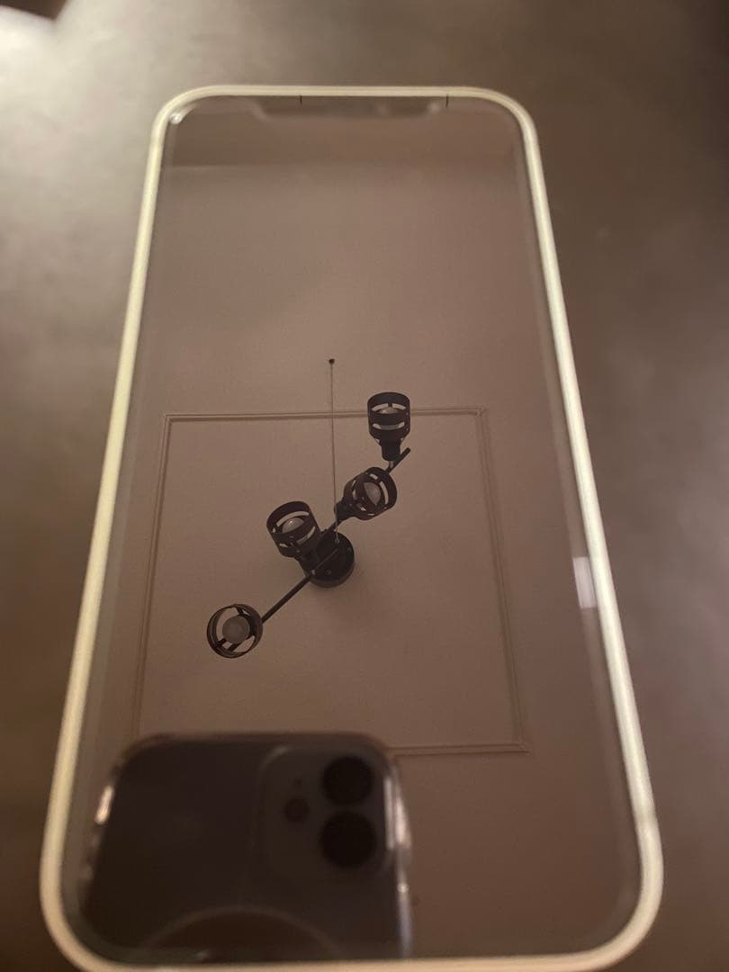 Apple iPhone 12 ライトグリーン　64GB SIMフリー