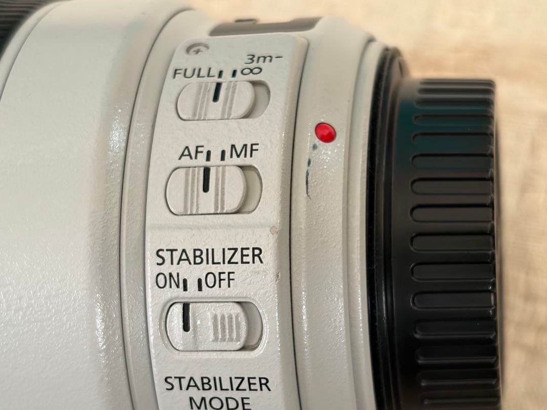 専用 Canon EF100-400mm F4.5-5.6L IS II USM