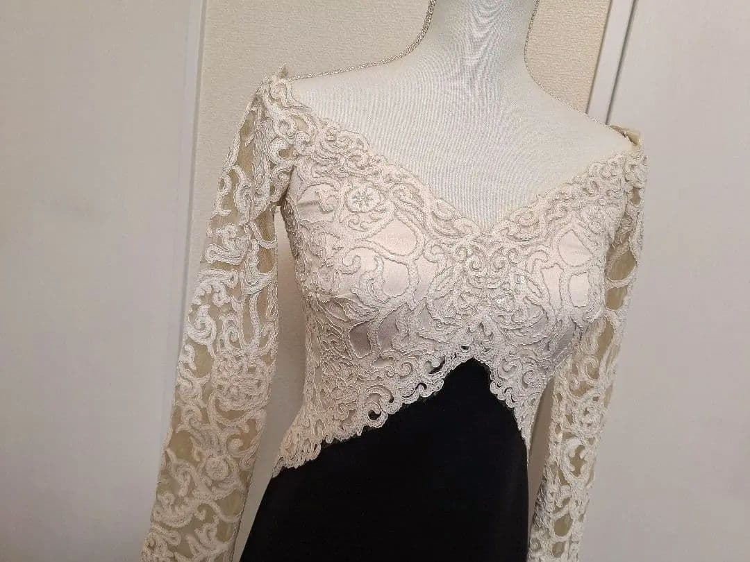 TADASHI SHOJI タダシ・ショージ　レース　ドレス　定価11万円超