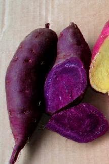 江子サツマイモアヤ紫２０ｋｇ＾～１