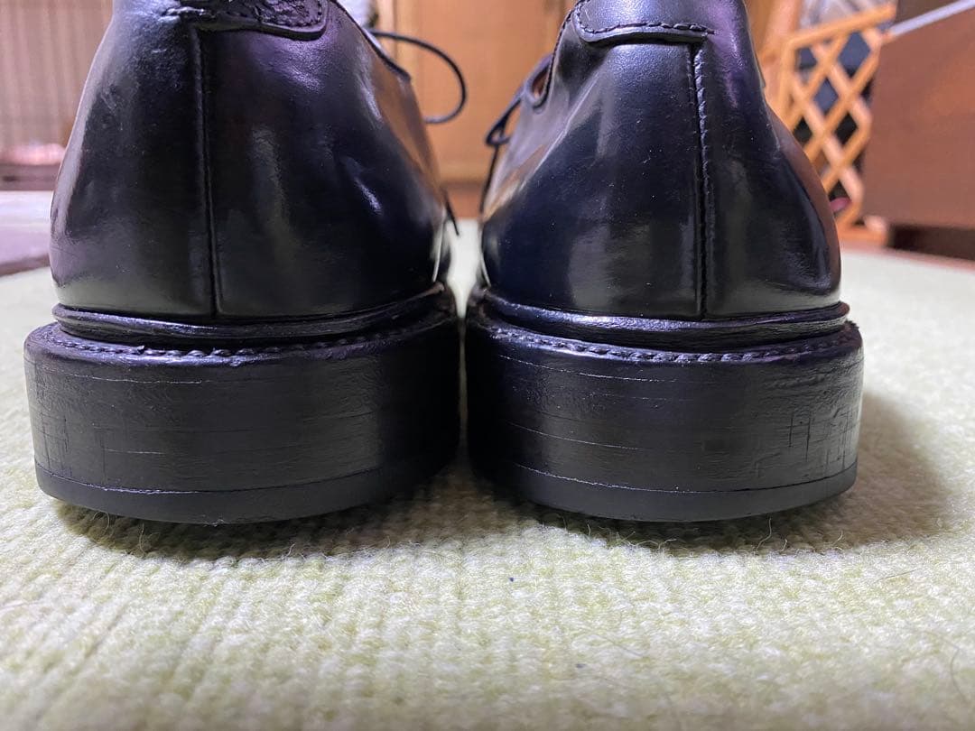 【コードバン】Allen Edmonds Leeds (US6.5E)