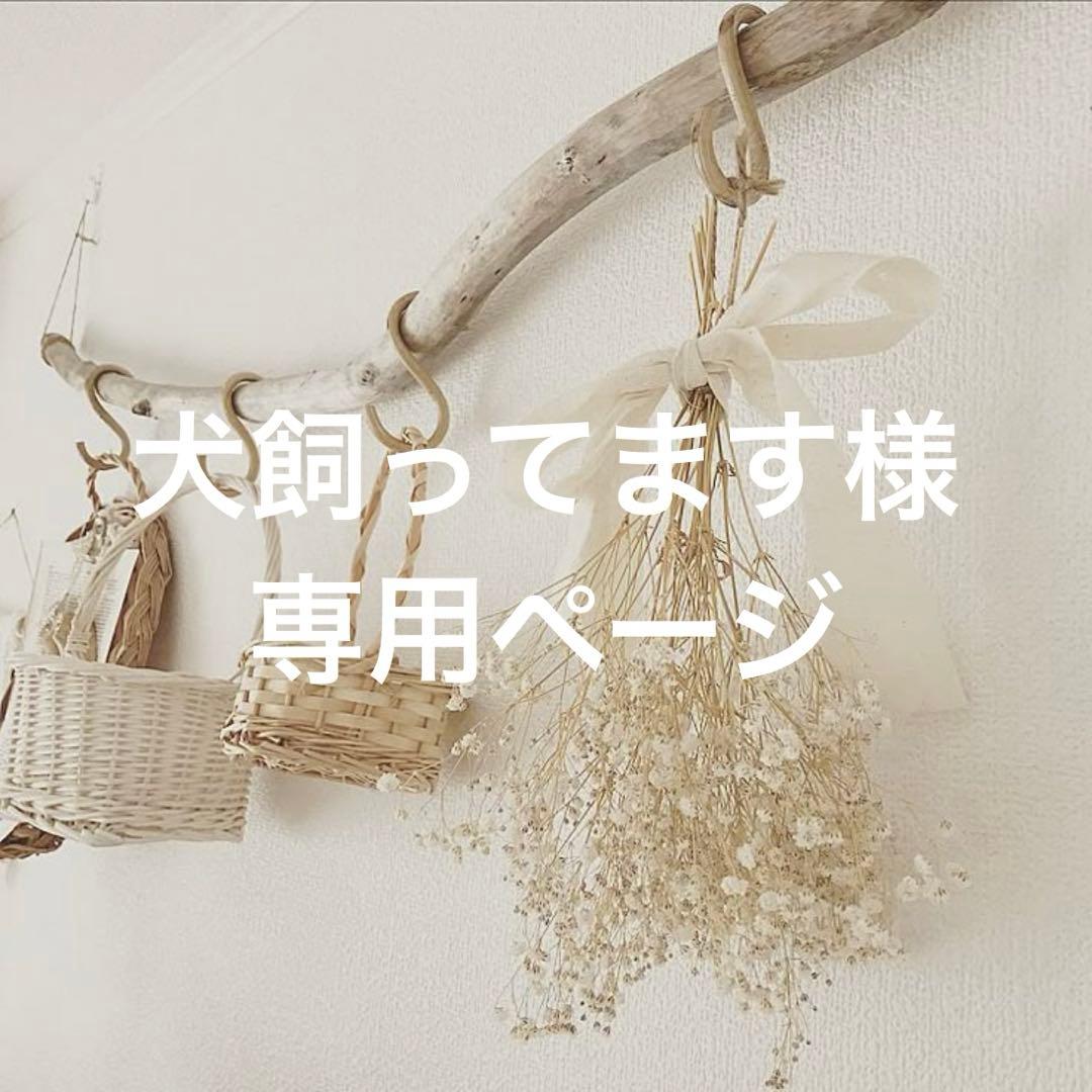 ケイト　リップモンスター　16本セットまとめ売り