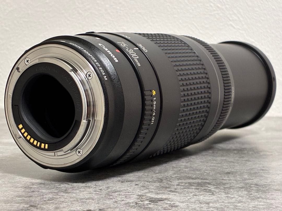 ⭐️美品⭐️Canon EF 75-300 II & EF-EOS M アダプター