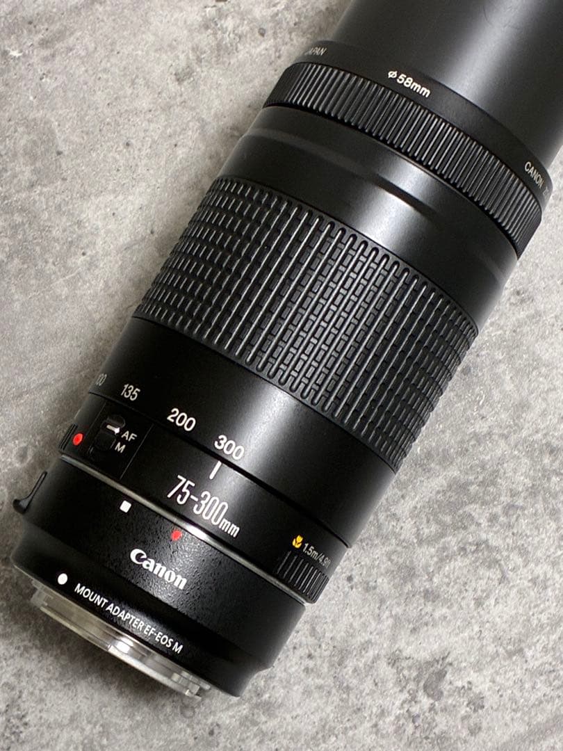 ⭐️美品⭐️Canon EF 75-300 II & EF-EOS M アダプター
