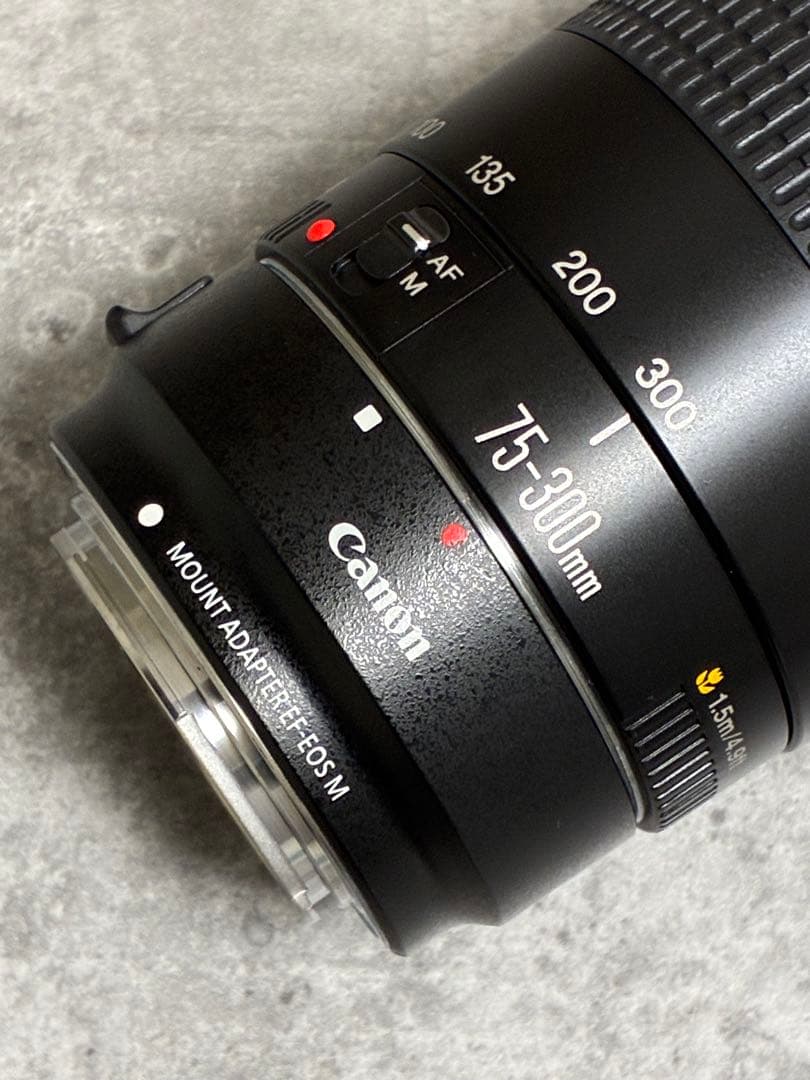 ⭐️美品⭐️Canon EF 75-300 II & EF-EOS M アダプター