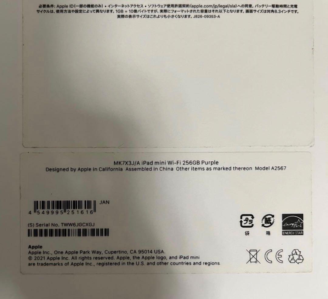 第6世代 256GB iPad mini＋Appl Pencil USB-C