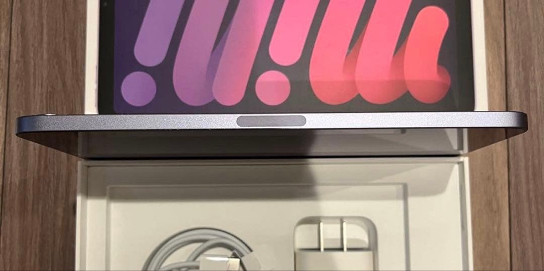 第6世代 256GB iPad mini＋Appl Pencil USB-C