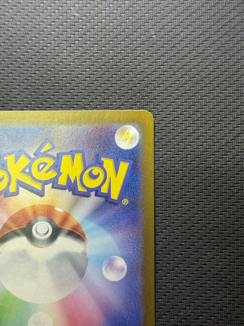 ノ*ン様 ゼイユ SAR 130/101