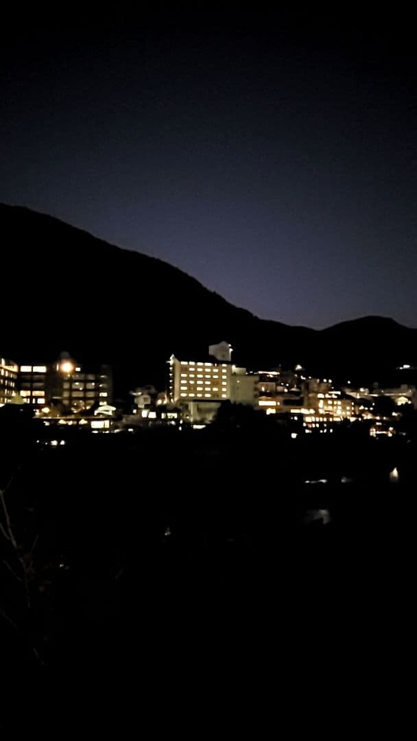 専用です 確認中です。