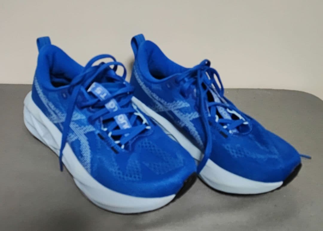 asics NOVABLAST5 24.5cmWIDE 3E箱あり
