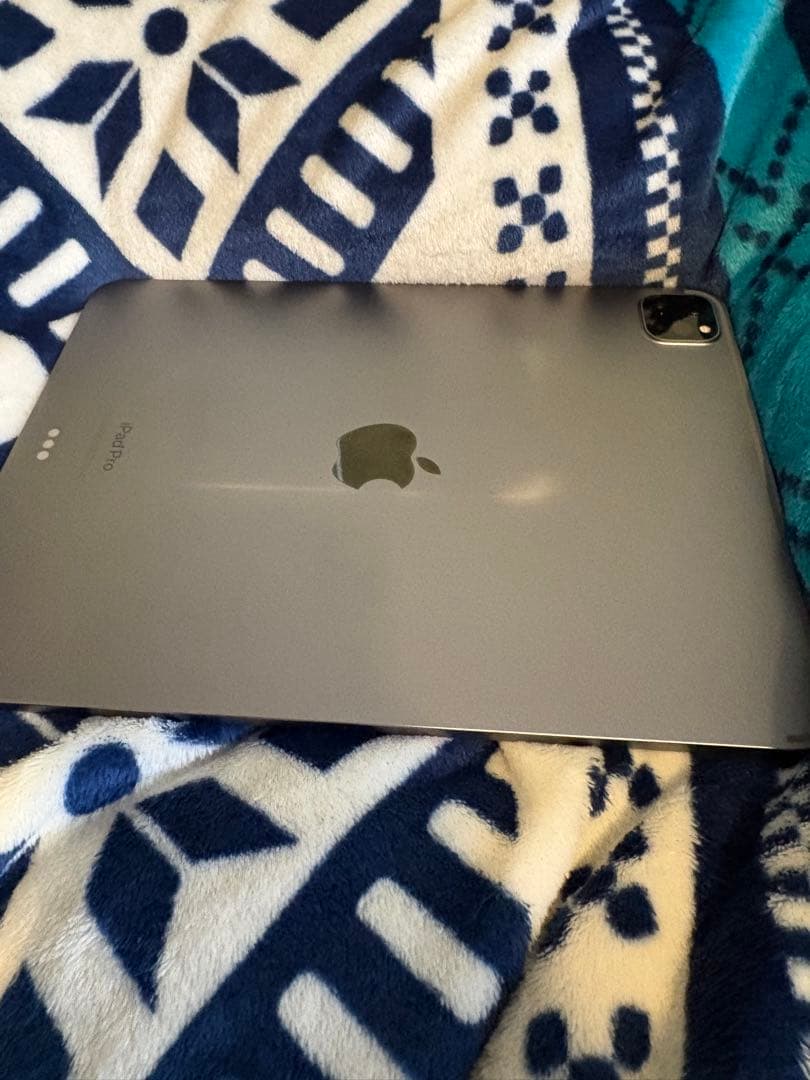 Apple iPad Pro スペースグレー第4世代箱付き