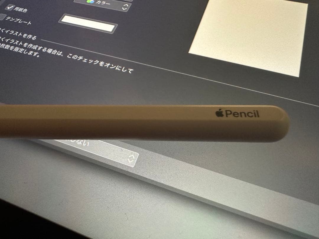 iPad Pro (第3世代) 本体とApple Pencil（第2世代）