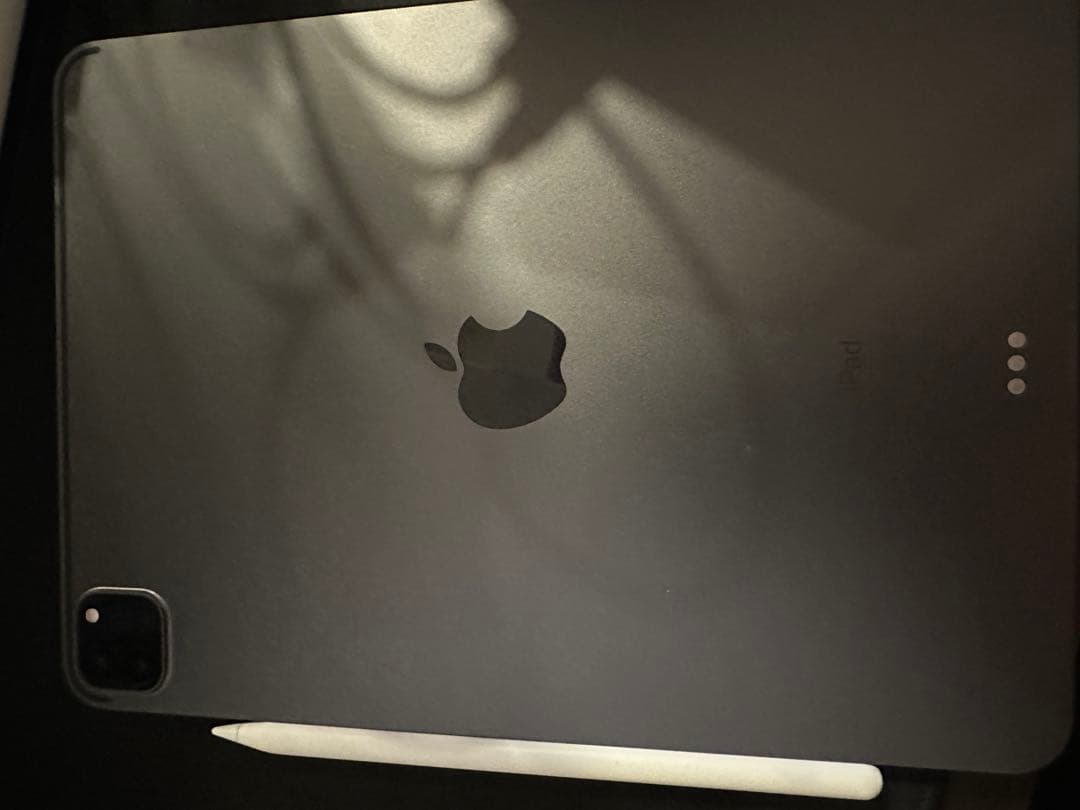 iPad Pro (第3世代) 本体とApple Pencil（第2世代）