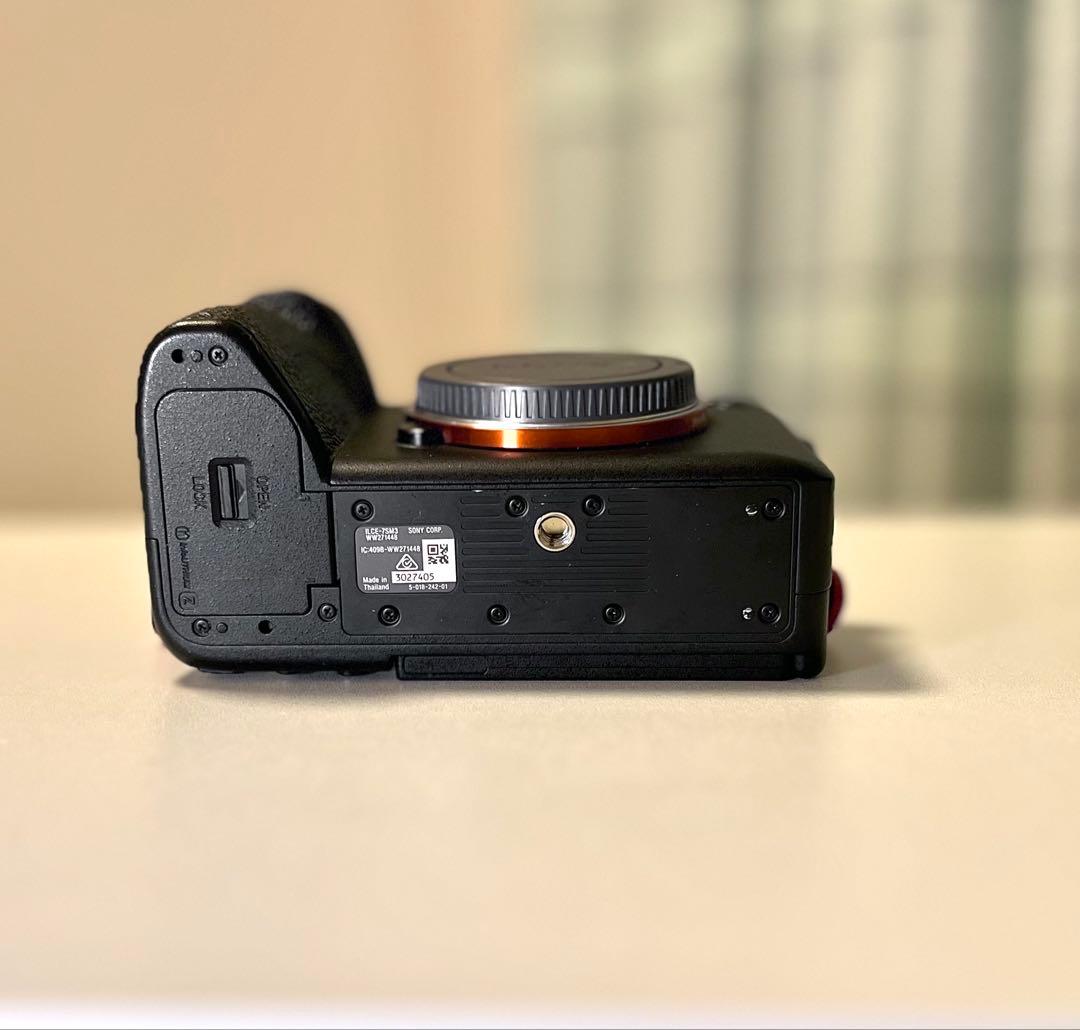 【美品】SONY α7S III ILCE-7SM3 リグ付き