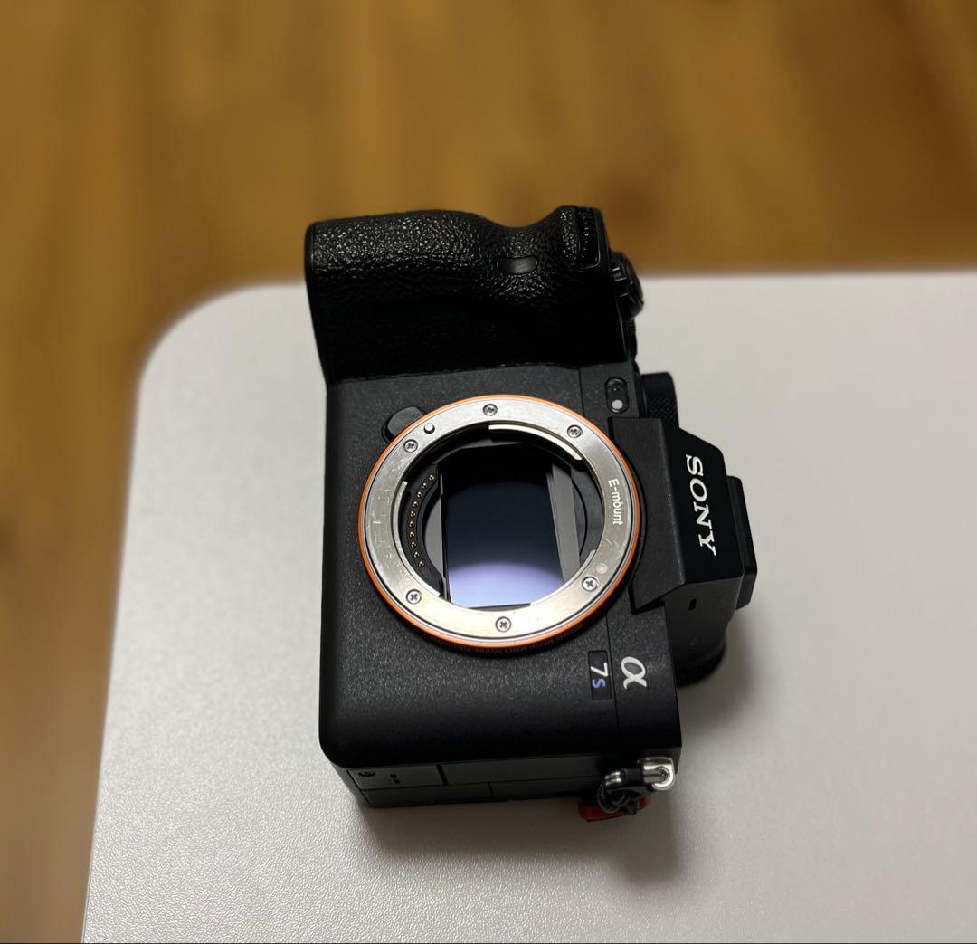 【美品】SONY α7S III ILCE-7SM3 リグ付き