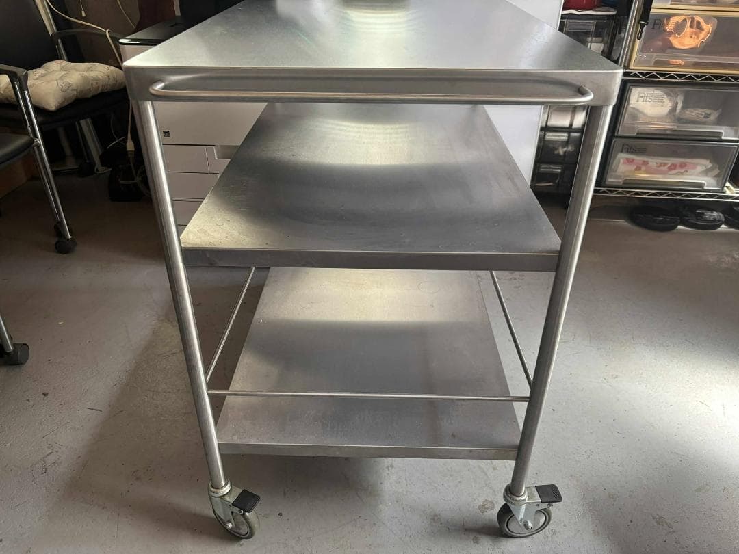 ぴかるーたん IKEA FLYTTA フリッタキャスター付 ステンレス