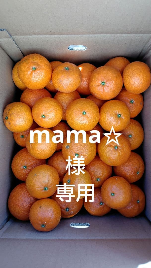津之輝10㎏(家庭用)mama✩#3