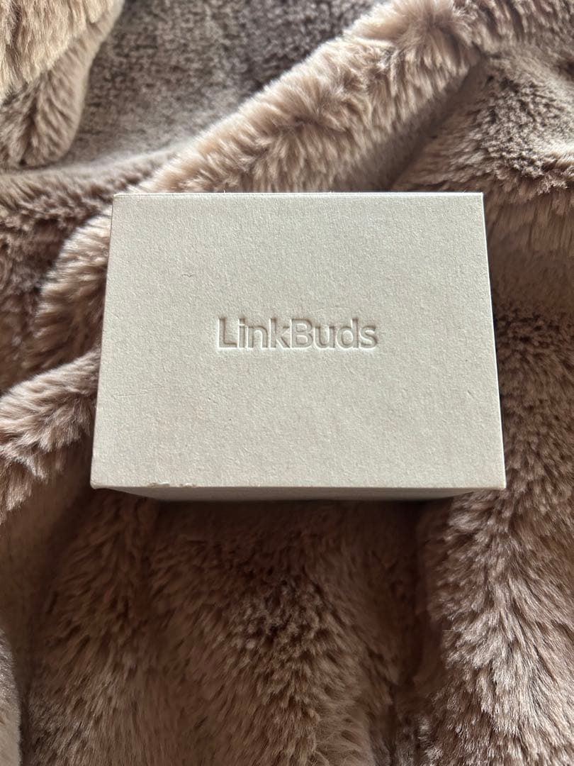 LinkBuds S (WF-LS900N) ブラック