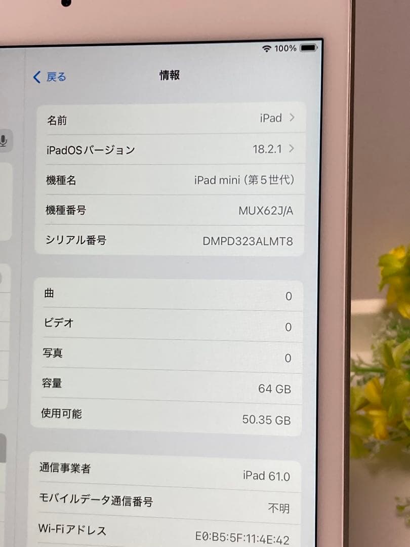 SIMフリー★ Apple iPad mini 5 Wi-Fi+Cellular
