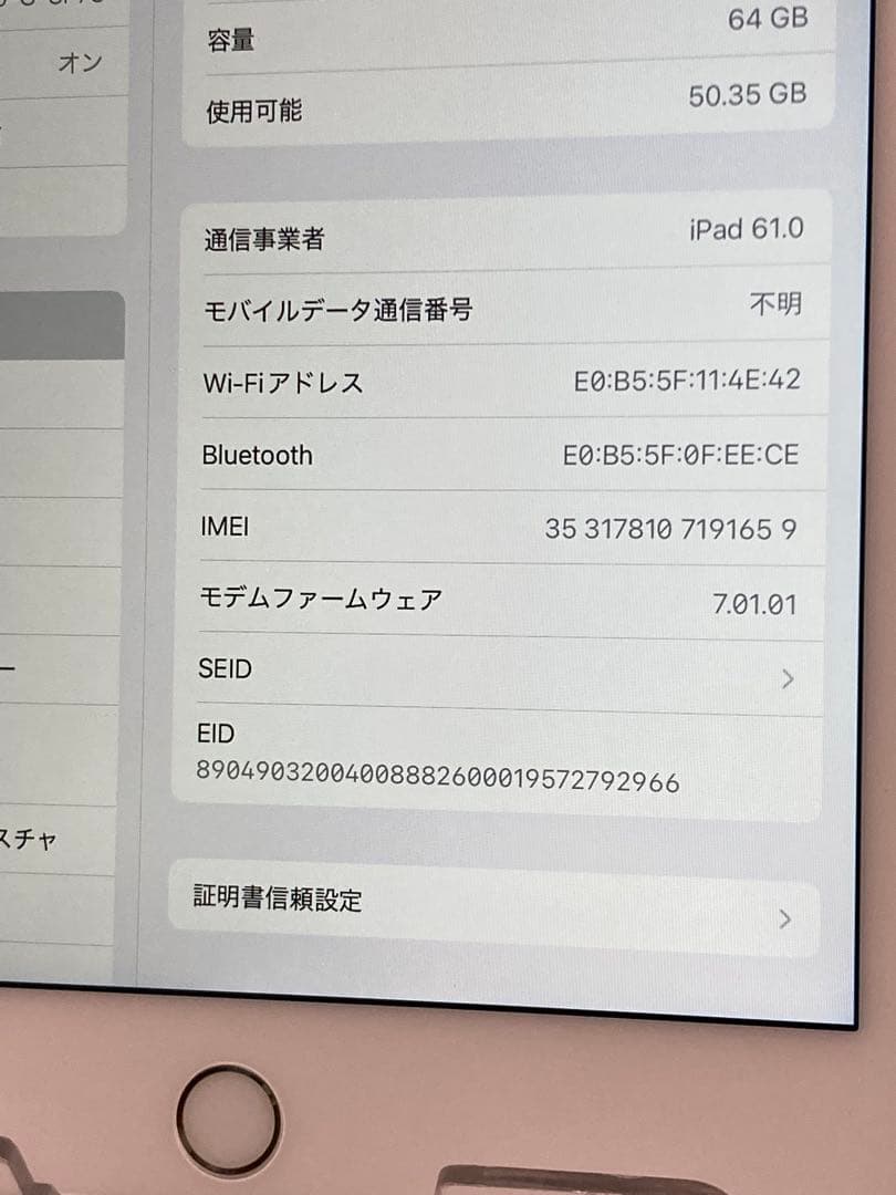 SIMフリー★ Apple iPad mini 5 Wi-Fi+Cellular