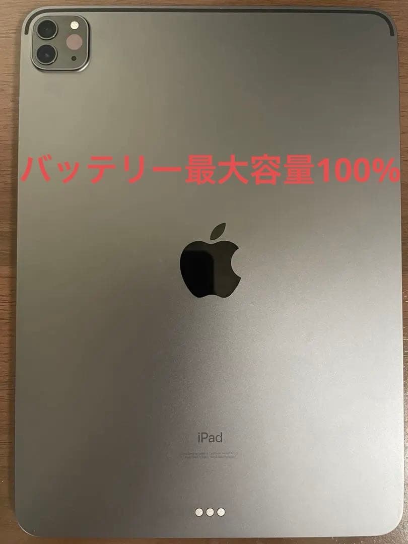 [美品]iPad pro 11インチ 第三世代 M1 256GB スペースグレイ