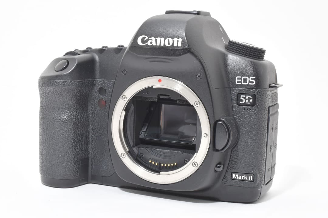 ショット数: 22089回 Canon EOS 5D Mark II #1107