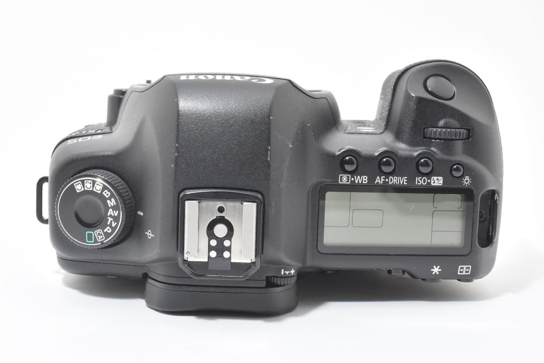 ショット数: 22089回 Canon EOS 5D Mark II #1107