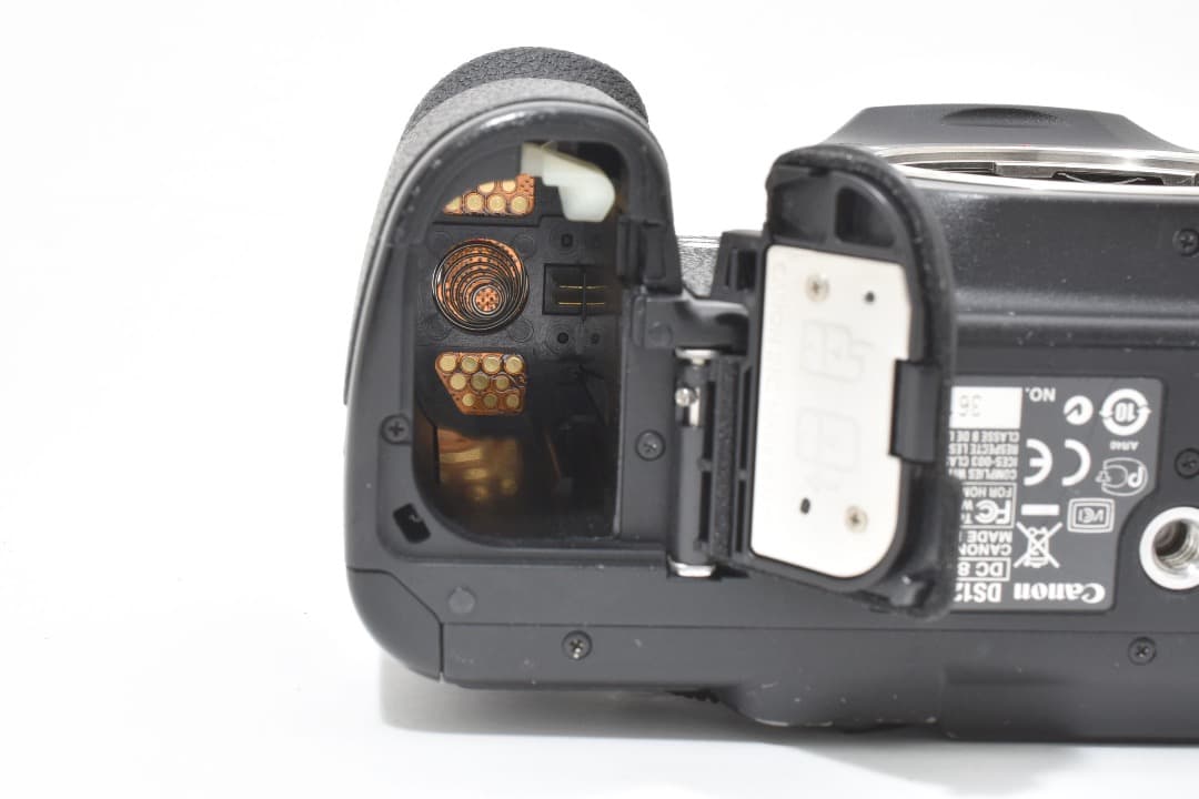 ショット数: 22089回 Canon EOS 5D Mark II #1107