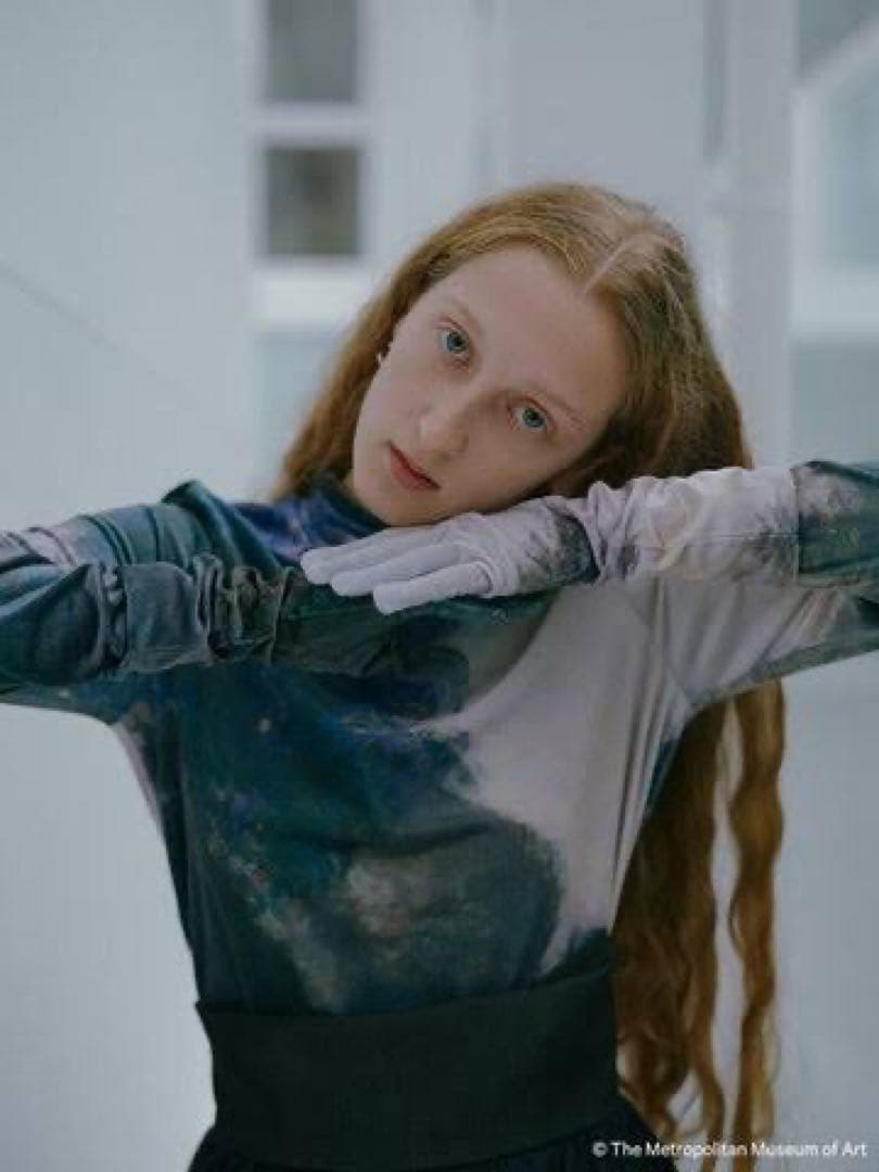 AMERI×THE MET SCENERY VELOUR TOP