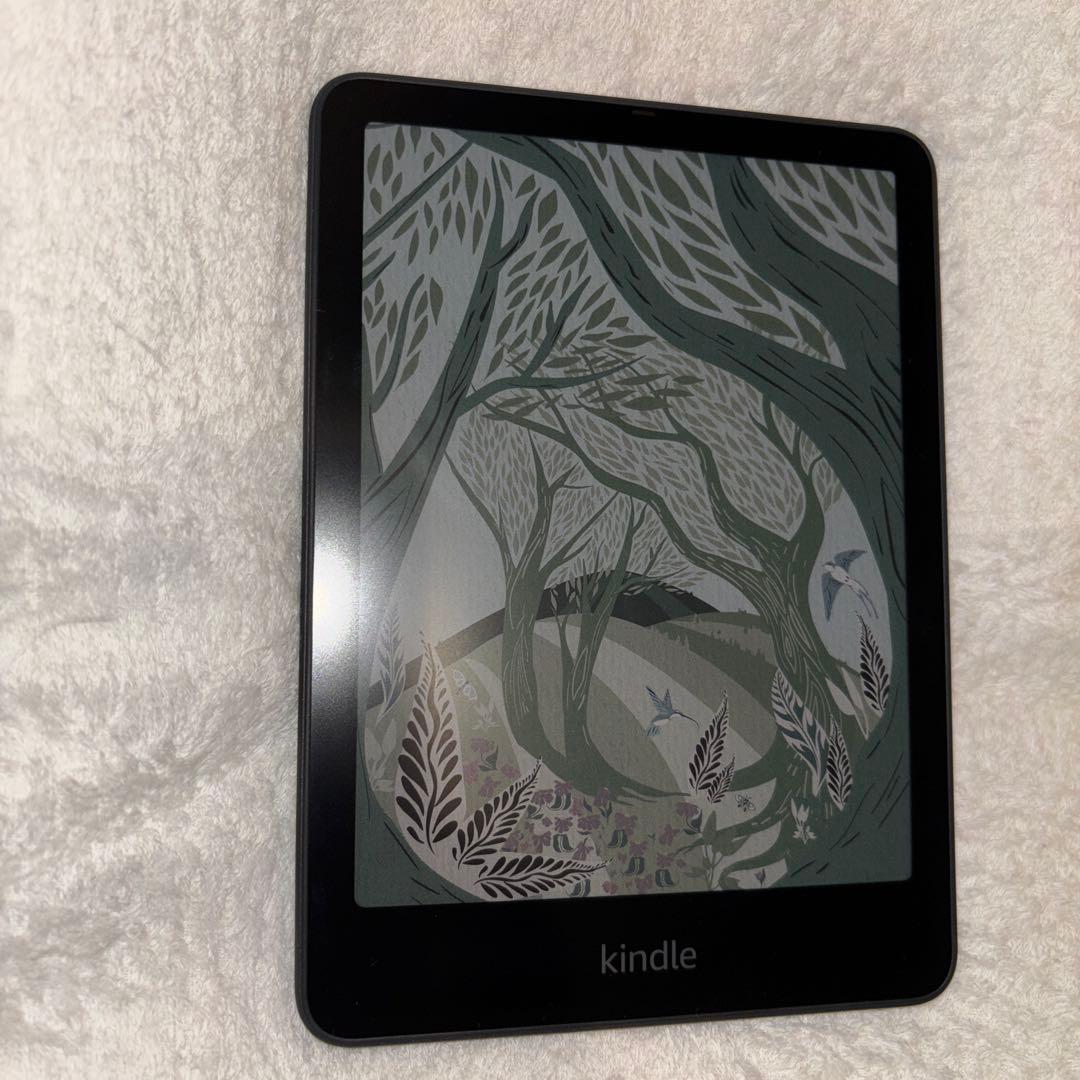 ⭐︎極美品⭐︎kindle colorsoft シグニチャーエディション