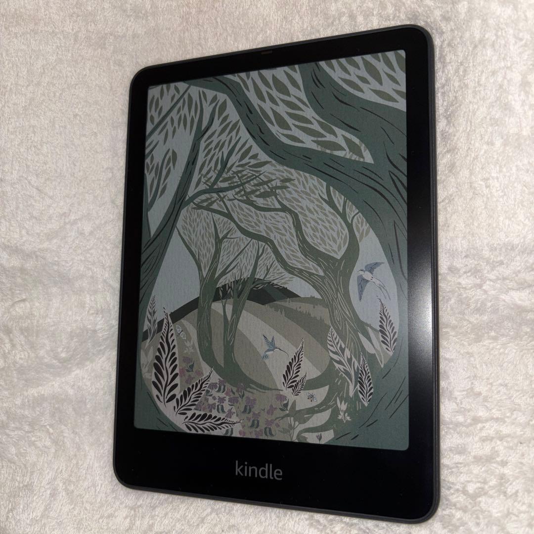 ⭐︎極美品⭐︎kindle colorsoft シグニチャーエディション