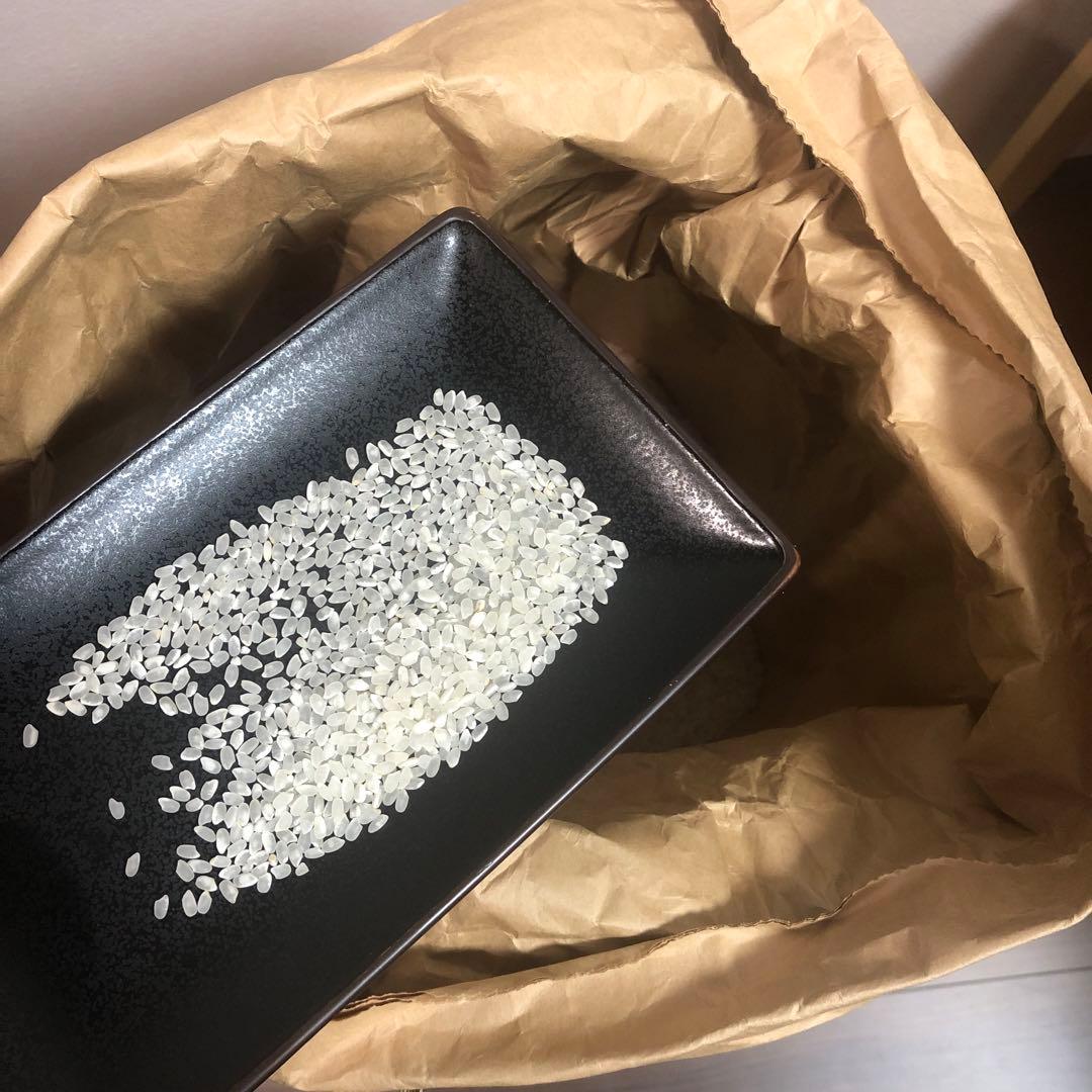 お米　淡路島産キヌヒカリ　20kg