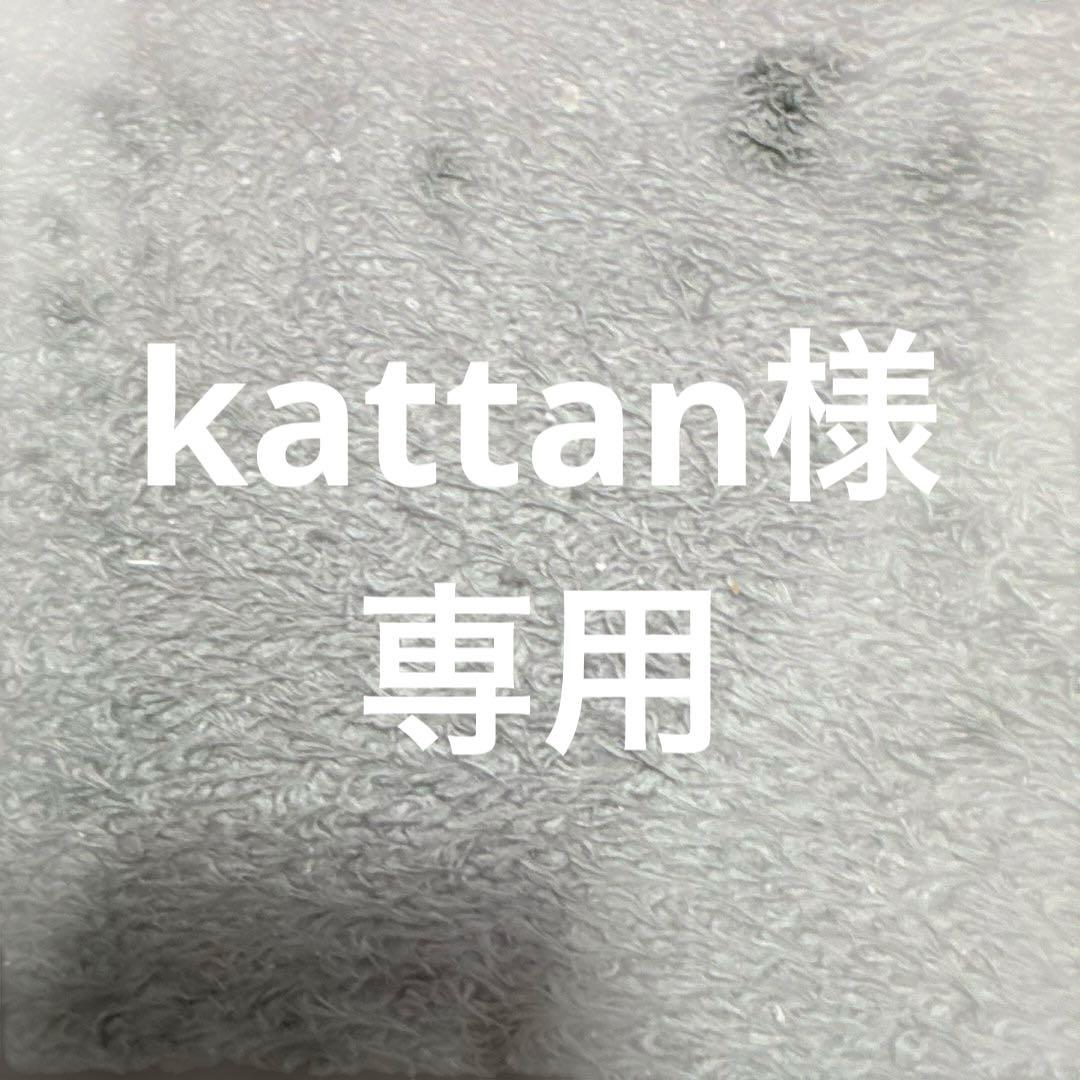 kattan　ZVE10Ⅱ 色々セット
