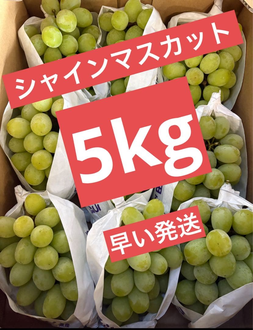 大分産　シャインマスカット　5kg