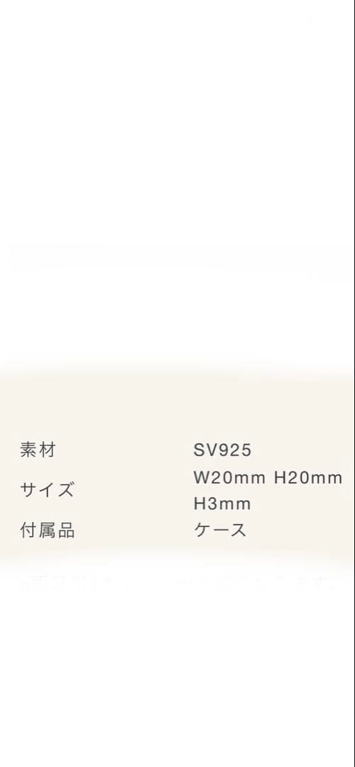 【常田大希】Pointlessjourny EAR RING SILVER