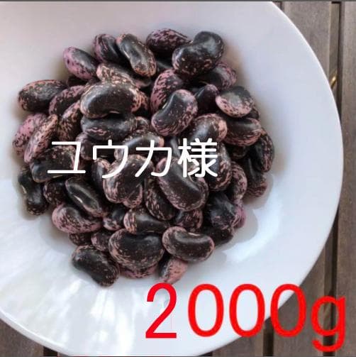 ユウカ　花豆2000g