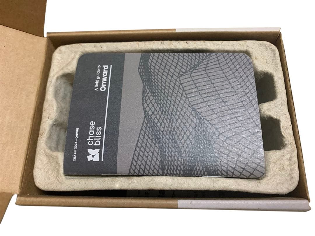 Chase Bliss Onward ★ほぼ新品★