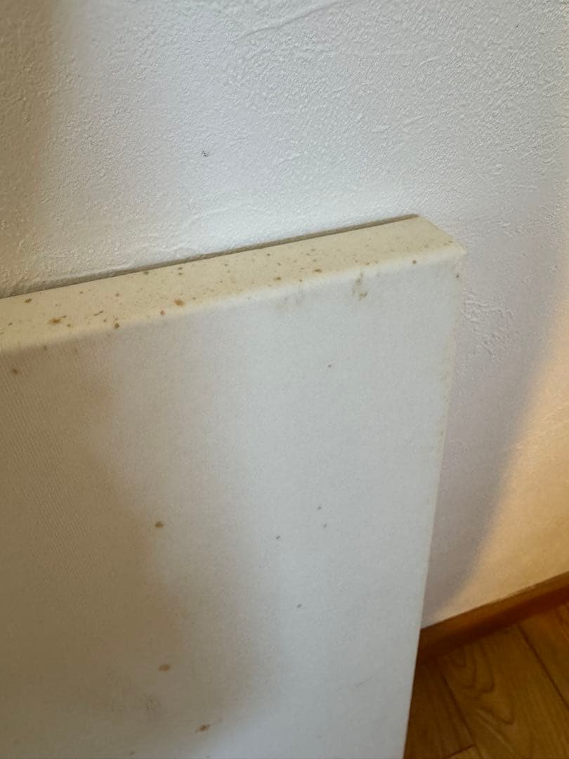 schedoni スケドーニ　レザーフレーム フェラーリ