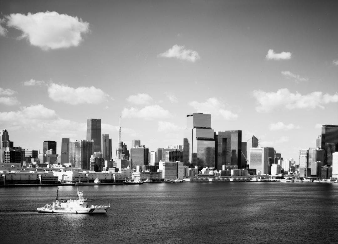 Kodak 3409 ISO16 10本セット 作例あり