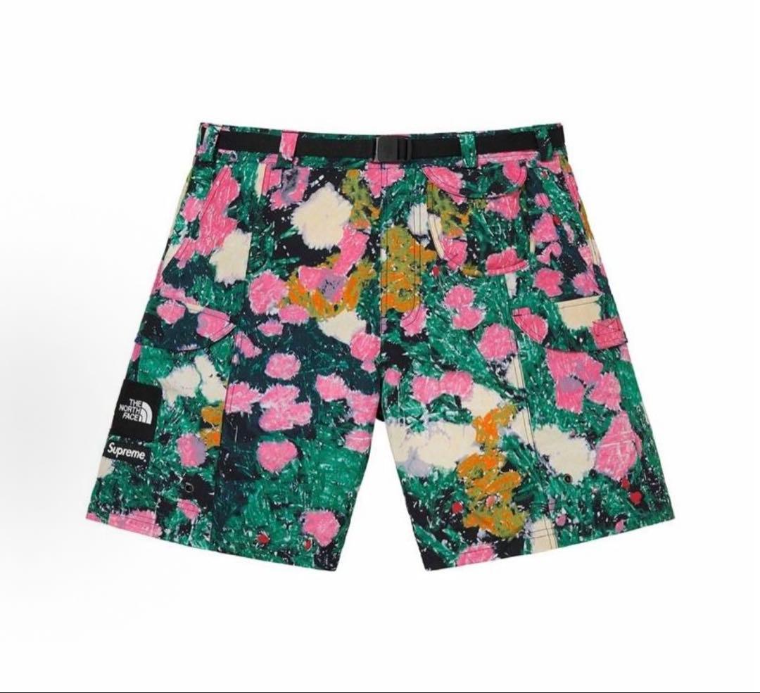 j*0様 Supreme The north face Trekking Sho