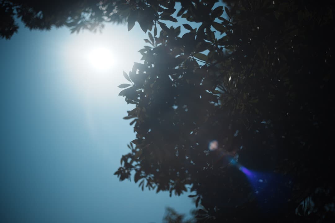 【この値段でライカ級】富岡光学製 XR RIKENON 50mm F2 966