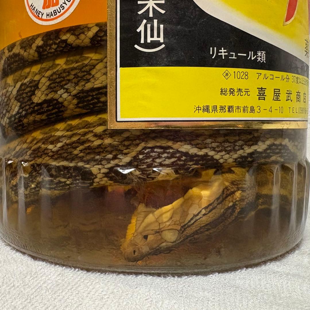 【未開封】 40年前 沖縄特産 ハニーハブ酒 ハブ入り 3,300ml 古酒