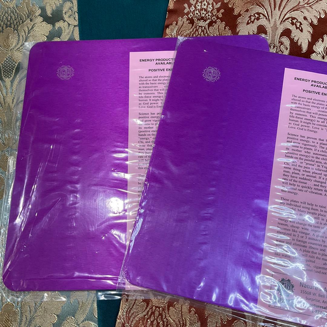 テスラ　パープルプレート　Lサイズ二枚セット