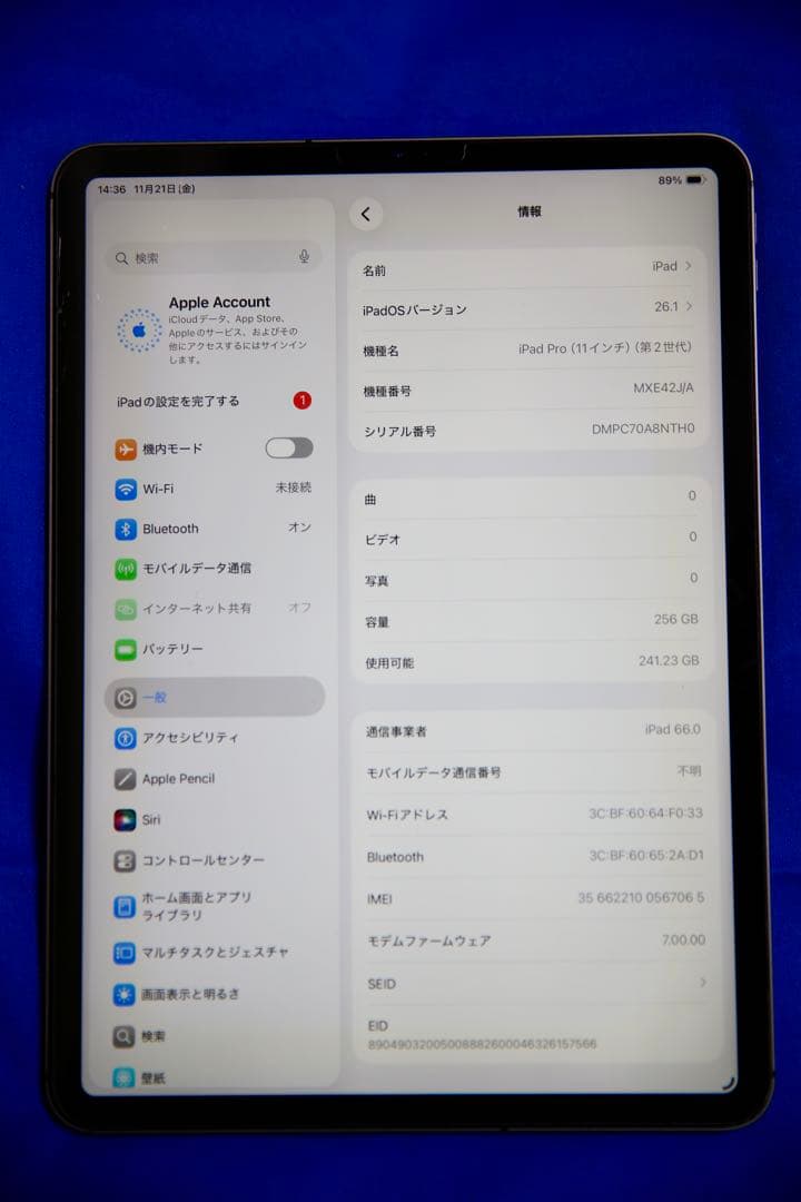 iPad Pro 11インチ 第2世代 Wi-Fi ＋ セルラー 256GB