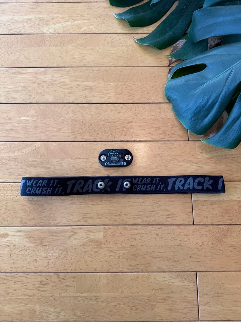 POLAR (ポラール) H10 N（ Polar H10 N） 心電式 胸